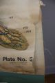 1918 Antique Frohse Nevous System Anatomical Chart Stunning Max Brodel Nystrom Other photo 9