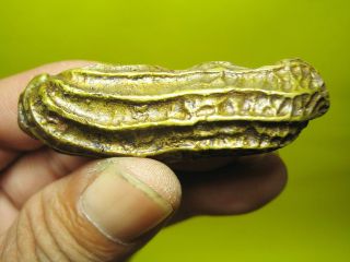 Rare Amazing Thailand Old Brass Peanut Fortune Wealth Thai Amulet photo
