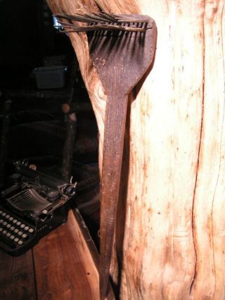 Old Primitive Romanian Flax Plant Brush Tool 0162 photo