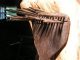 Old Primitive Romanian Flax Plant Brush Tool 0162 Primitives photo 3