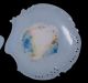 Exquisite Rosenthal China Plates Hand - Painted Savoy 6 