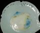 Exquisite Rosenthal China Plates Hand - Painted Savoy 6 