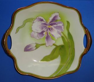 Antique Art Nouveau Porcelain Bowl Hand Painted Iris Tirschenreuth German 1920s photo