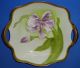 Antique Art Nouveau Porcelain Bowl Hand Painted Iris Tirschenreuth German 1920s Bowls photo 4