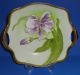 Antique Art Nouveau Porcelain Bowl Hand Painted Iris Tirschenreuth German 1920s Bowls photo 7