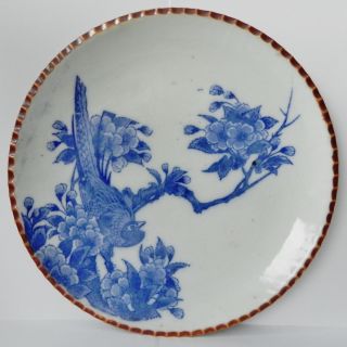 Antique Japanese Kutani Igezara Blue White Porcelain Bird&blossom Tree Plate photo