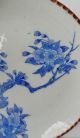 Antique Japanese Kutani Igezara Blue White Porcelain Bird&blossom Tree Plate Plates photo 3