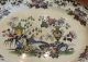 Rare Antique Ironstone Oval Platter W Chinese Garden & Urn Pattern Nr Plates & Chargers photo 3