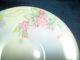 24 Pc.  Thomas Sevres Bavaria Handpainted Dish Set Plates & Chargers photo 8