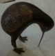 Vintage 1900s Bird Kiwi Animal Newzealand Wood Metal Fitted Artefact Handmade India photo 3