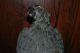 Bronze Parrot Statue Metalware photo 4