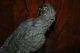 Bronze Parrot Statue Metalware photo 5