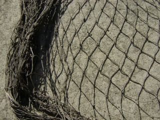 6 Feet X 18 Feet Brown/gray Alaskan Seine Net Fishing Fish Netting (n176) photo