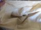 Antique Cream Colored Silk 1840 ' S Gown Possibly Wedding Gown New England Aafa Primitives photo 4