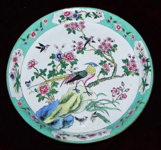 Antque Chinese Cloisonne Enamel On Copper Peacock Lrg Plate Tray Early Republic photo