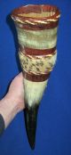 Vintage Large African Taxidermy Faux Leopard Skin Leather Mounted Horns Other photo 1
