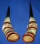 Vintage Large African Taxidermy Faux Leopard Skin Leather Mounted Horns Other photo 3
