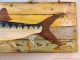 Handpainted Fish On Driftwood Wall Plaque Sign Weathered Beach Art Plaques photo 2