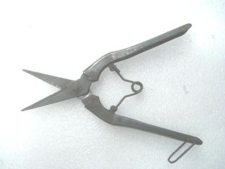 Big Rare Shape Old Iron Scissors photo