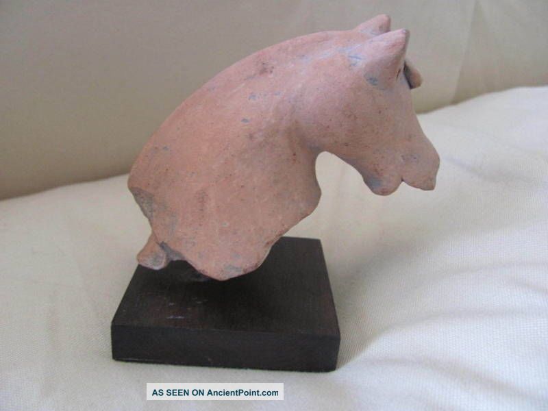 Mounted Antique Majapahit Terracotta Clay Horse Head Statues photo