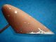 Classic Mid Century Modern Gooseneck Table Desk Lamp.  All,  Needs Some Tlc Mid-Century Modernism photo 9