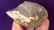 British Palaeolithic Flint Pebble Chopper Tool From Dorset England Neolithic & Paleolithic photo 2
