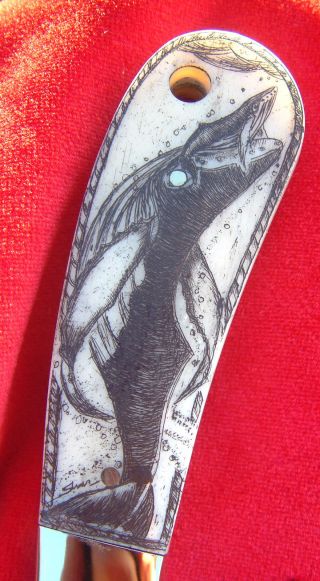 Nautical Scrimshaw By Shar,  German Bull,  Large Fixed Blade Knife/knives photo