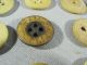 34 19th Century Civil War Period Bone Buttons Civil War Reenactor Buttons photo 1