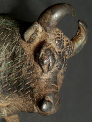 Rare Roman Bronze Bull ' S Head Rein Ring 1st Century A.  D.  Chariot Horses Horns photo