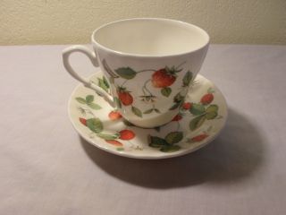 Roy Kirkham Alpine Strawberry Cup And Saucer photo