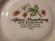 Roy Kirkham Alpine Strawberry Cup And Saucer Cups & Saucers photo 5