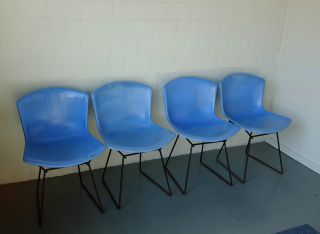 4 Knoll Bertoia Fiberglass Chairs Mid Century photo