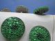 Vintage Buttons Green Glass/made In Tchécoslovaquie Buttons photo 3