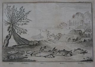 1750 Engraving Fishing With The Casting Net Pike Perch Bream Roach photo
