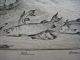 1750 Engraving Fishing With The Casting Net Pike Perch Bream Roach Fishing Nets & Floats photo 2
