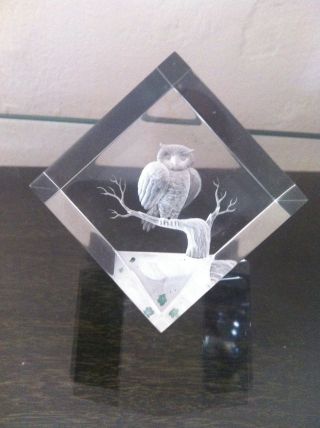 Dekel ' S Owl Lucite Acrylic Vintage Paperweight Square Balanced Signed 1989 Bird photo