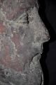 Antique Terra Cotta Head - Philipines - 16 Th Century Very Special Price Other photo 2