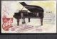 1800 ' S Krell Piano Cincinnati Bach Beethtoven Mozart Htl Advertising Trade Card Keyboard photo 4