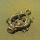 Wealth Lizards Gecko Money Bag Pop Love Luck Sacred Charm Thai Amulet Pendant Amulets photo 2