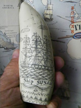 Scrimshaw Sperm Whale Tooth Resin Replica 