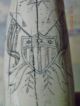 Scrimshaw Tusk Or Tooth Resin Replica 