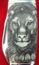 Scrimshaw Wildlife Art By Shar,  Lion Portrait,  Folding Knife/knives Scrimshaws photo 2