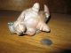 Antique / Vintage Hand Made Fired Clay Twelve Note Armadillo Whistle Other photo 8