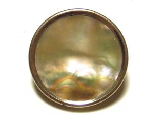 Antique Vintage Mother - Of - Pearl Brass Nickel - Plated N.  Evans & Co.  Button 5 photo