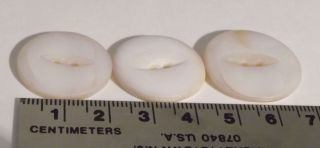 3 Large Two Hole Vintage Shell Mop White Buttons Craft Reenactment photo