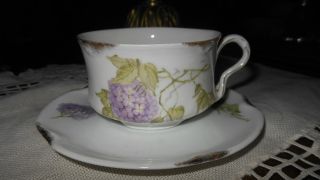 Jaeger & Co Louise Hydrangea Demitasse Cup And Saucer J&c Bavaria photo