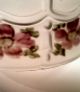 2 Antique White Satin Glass Art Deco Shade Reverse Painted Pink Green Flowers Lamps photo 11
