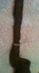 Wwi Bayonet German - Russian Battlefield,  Dug,  Military,  Blade,  Sword,  War Knife Primitives photo 8