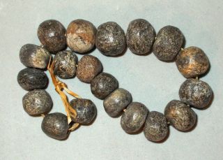 Ancient Beads Morocco Neolithic Fossil Bone Beads Sahara Trade photo