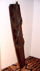 14.  Rare Maori Tribe N.  Z.  Large Vintage Lizard Carved Wood,  Coffin,  House Guardian Pacific Islands & Oceania photo 3